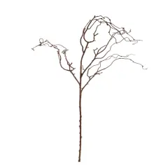 Natural Brown Twig Branch - 24-Pack, Realistic Stems, Lifelike Rustic D&eacute;cor, Perfect for Floral Arrangements, Events & Home - Ideal for All Seasons, Floral Home by Artificial Flowers