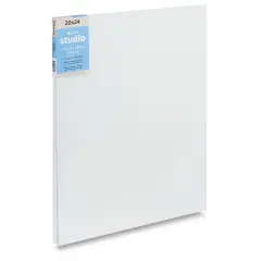 Blick Studio Cotton Canvas Panels - 20" x 24", Pkg of 5