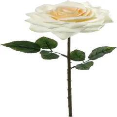 12-Pack: Open Rose Stem with Lifelike Silk Foliage, Floral Home by Artificial Flowers Champagne