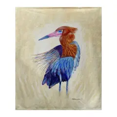 Betsy Drake Reddish Egret Portrait Bk Multicolor