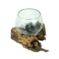 Blown Melted Glass Decorative Bowl / Terrarium On Teak Driftwood Base
