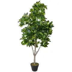 Northlight 51" Green and Black Potted Two Tone Schefflera Artificial Plant