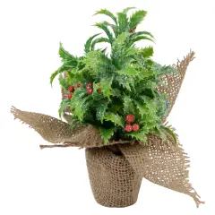 Northlight Iced Artificial Christmas Holly Berry Plant in Burlap Base - 8" Green
