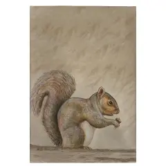 Betsy Drake Squirrel Guest Towel