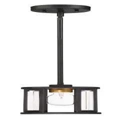 Payne 1-Light Mini-Pendant Mounted Pendant Light Fixture in Black Finish