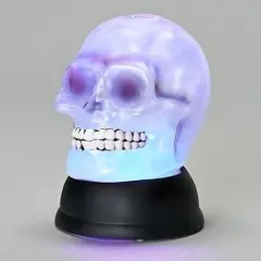 Roman 6" LED Pearl Swirl Skull Battery Operated Halloween Figurine Clear