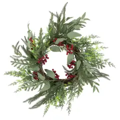 Northlight Mixed Foliage and Red Berries Artificial Christmas Wreath, 24-Inch, Unlit Green
