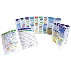 Algebra Skills Visual Learning Guides&trade; Set