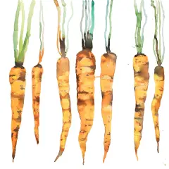 FRESHLY PICKED CARROTS Poster Print by Atelier B Art Studio - Item # VARPDXBEGGAS107