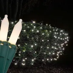 4' x 6' White Frost Christmas Net Lights, 150 Lamps on Green Wire Clear