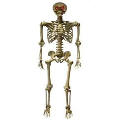 Deluxe 5' Posable Skeleton With LED Eyes Decoration