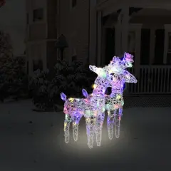 2 pcs Christmas Reindeers with 80 LEDs Acrylic Multicolour