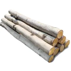 Wilson Decorative White Birch Log Bundle, Natural Bark Wood Home D&eacute;cor 1.5-3" Dia. X 17.5" or 24" Length