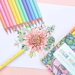 Macaron Colored Pencils, soften wood, Pastel coloring for adult and kids, Pack of 12