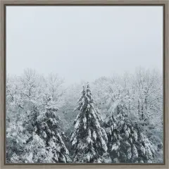 Snowshoe Hill Deep Crop by Sue Schlabach Framed Canvas Wall Art
