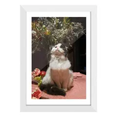 Solid Wood Picture Frame Lot for Wall or Desktop