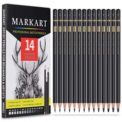 Professional Drawing Sketching Pencil Set - 14 Pieces,Graphite,(12B - 4H), Ideal for Drawing Art, Sketching, Shading, Artist Pencils for Beginners & Pro Artists