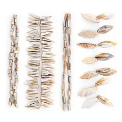 Magnolia Sea Shell Beads Collection Value Pack