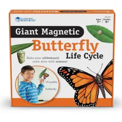 Giant Magnetic Butterfly Life Cycle, Set of 9