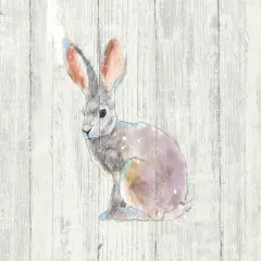 Into the Woods I no Border on Barn Board Poster Print by Emily Adams - Item # VARPDX26476