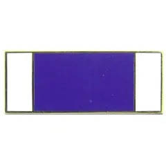 EagleEmblems P12680 PIN-Ribb,Purple Heart (MED) (.875'')