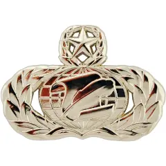 EagleEmblems P16577 Wing-USAF,Inf.Mngr,Mast. Pwt (1.625'')