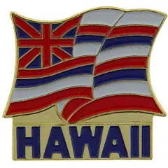 Hawaii State Flag Pin 1"