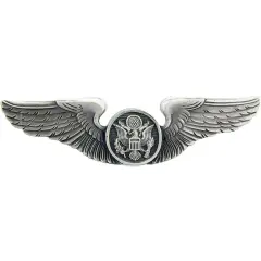 EagleEmblems P16506 Wing-USAF,Aircrew,Basic (2'')