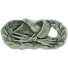 EagleEmblems P12076 Wing-USAF,COMMUNICAT.BAS. Elect.Maint