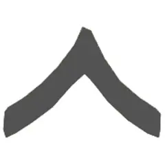 U.S.M.C. Private First Class Rank Insignia Black Pin