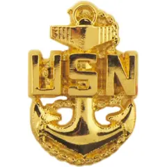 EagleEmblems P14070 Pin