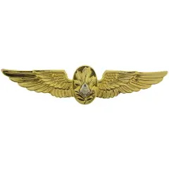 U.S. Navy Flight Surgeon Pin 2 3/4"