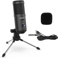 IDANCE RECORD STUDIO MIC 2