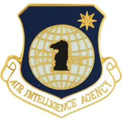 U.S. Air Force Air Intelligence Agency Pin 1"
