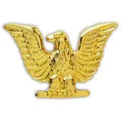 Pins USN Navy, ENLISTED, GOLD (1")