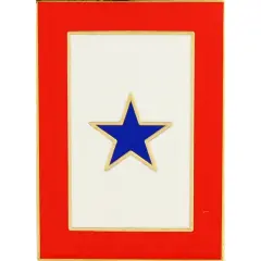 EagleEmblems P16381 Pin-Family Mem.in Svc.(1) Blue Star (Lrg) (1.5'')