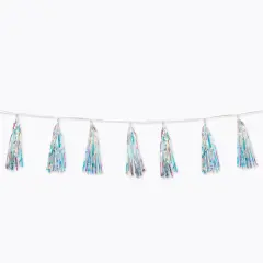Iridescent Tassel Garland, (Pack Of 6)