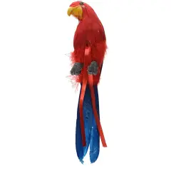 Feathered Parrots (Pack of 6)