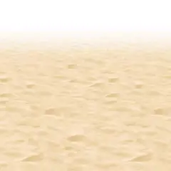 Ocean Floor Border (Pack of 6)