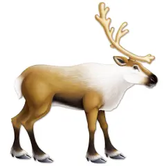Jointed Reindeer (Pack of 12)