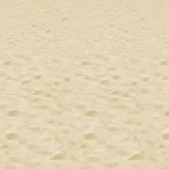 Beach Backdrop (Pack of 6)