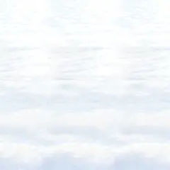 Snowscape Backdrop (Pack of 6)