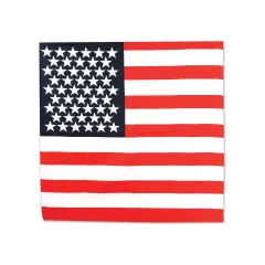 Patriotic Bandana (Pack of 12)