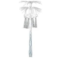 Wedding Cascade Hanging Column (Pack of 12)