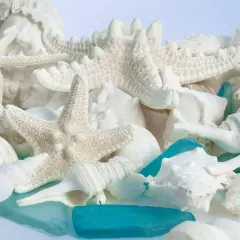 Sea Shells | Real Mixed Beach Seashells with Real Starfish & Caribbean Blue Sea Glass Seashell Wedding (2 Pack)