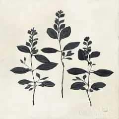 Botanical Study IV Poster Print by Julia Purinton - Item # VARPDX49722