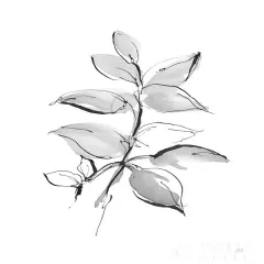 Wash Leaf I Poster Print by Chris Paschke # 65454