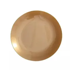 GOLD 10 Glossy 10" Round Plastic Salad PLATES Gold Rim