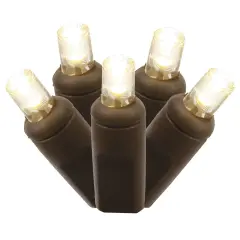 100Lt Warm White LED / Brown Wire WA EC Set 6in. x50 ft.