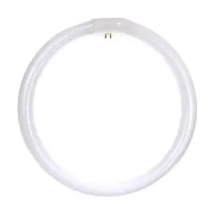 SUNLITE FC12T9/CW 32W 12 inch Cool White T9 Circline 4-Pin Light Bulb